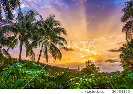 Florida, USA Sunrise 36684350