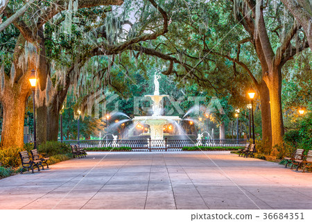 Savannah Georgia Fountain Savannah Georgia Fountain 36684351