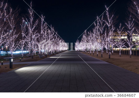 Gif Media Cosmos Illumination Gif Media Cosmos Illumination 36684607