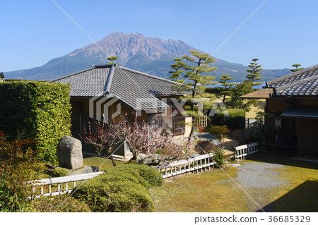 Senmon Garden's Tea Room Shuseiso Tsukurei and Sakurajima 36685329