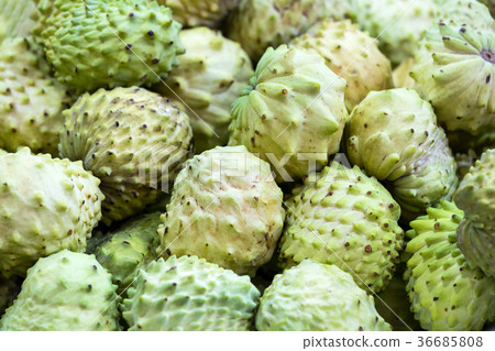 Guanabana ripe juicy fruit close-up background Guanabana ripe juicy fruit close-up background 36685808