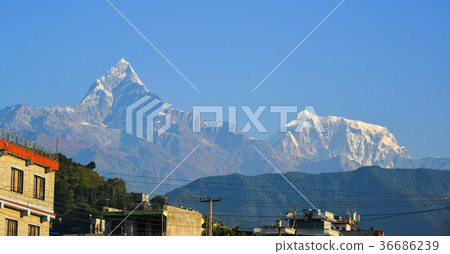 Himalaya Mountains, view from Ghandruk, Nepal 36686239