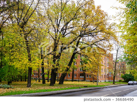 Autumn scenery in Saint Petersburg, Russia 36686490