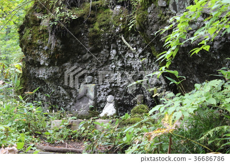 Jizo of Togakushi Shrine approach Jizo of Togakushi Shrine approach 36686786