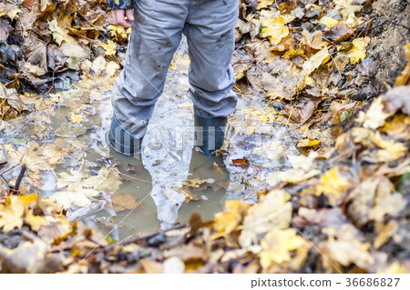 Little boy with wellys in the puddle 36686827