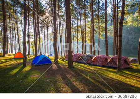 Dome tents beside the lake at Pang Ung  36687286