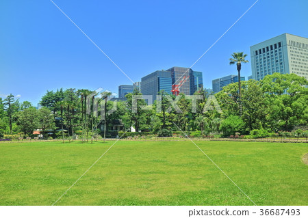 Fresh green Hibiya Park and Marunouchi Fresh green Hibiya Park and Marunouchi 36687493