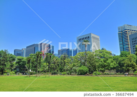 Fresh green Hibiya Park and Marunouchi 36687494