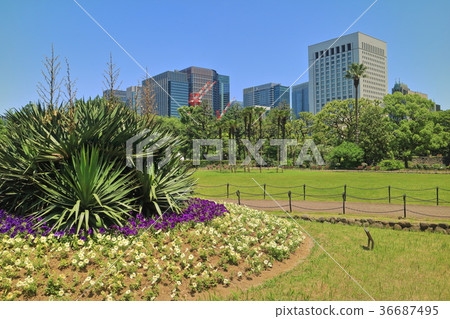 新鮮的綠色日比谷公園和丸之內 新鮮的綠色日比谷公園和丸之內 36687495