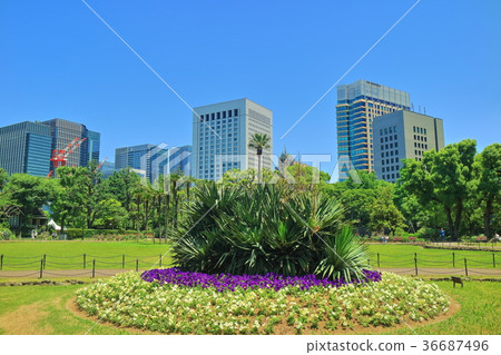 新鮮的綠色日比谷公園和丸之內 新鮮的綠色日比谷公園和丸之內 36687496
