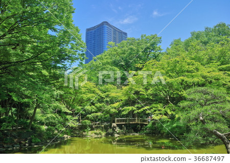 日比谷公園和新日比谷項目大樓 日比谷公園和新日比谷項目大樓 36687497
