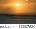 冬天日落 36687620