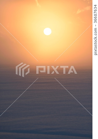 Winter sunset Winter sunset 36687634