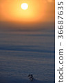 冬天日落 36687635