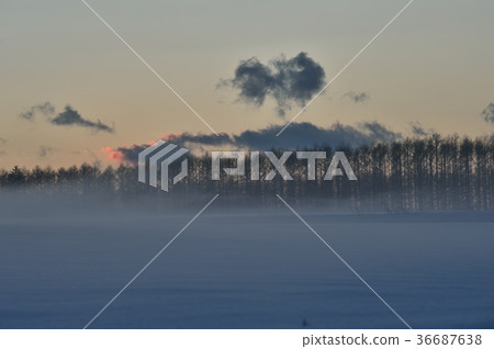 Snow scene Snow scene 36687638
