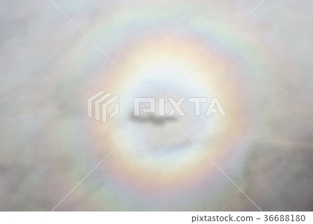 Shadows of the A321 jetliner and the rainbow of the Brocken phenomenon projected on the sea of clouds generated over the South American Continent Andes 36688180