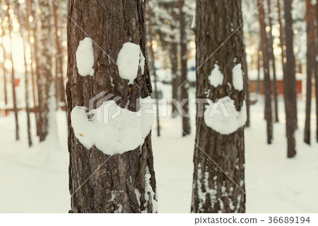 Winter smiley face on a tree Winter smiley face on a tree 36689194