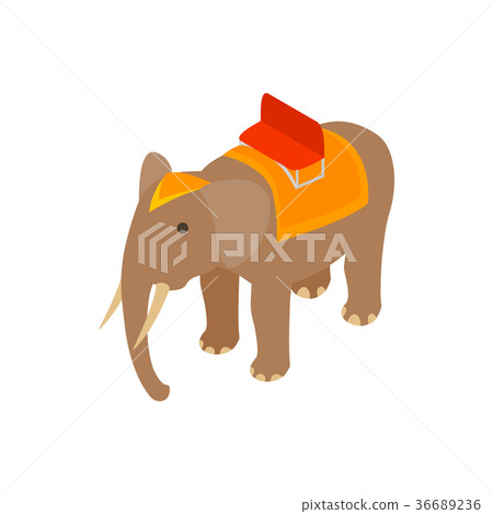 Elephant icon, isometric 3d style 36689236