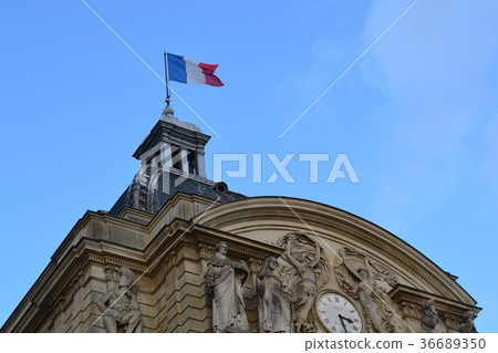 French flag 36689350