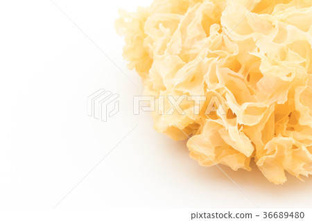Dried White Chrysanthemum: Dried White Wood Ear 36689480