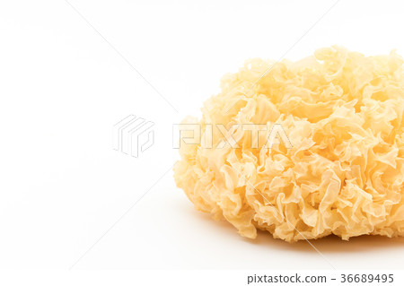 Dried White Chrysanthemum: Dried White Wood Ear 36689495