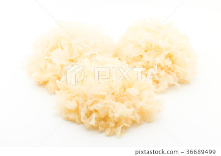 White chrysanthemum returned to water: White Wood Ear White chrysanthemum returned to water: White Wood Ear 36689499