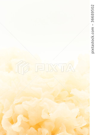 White chrysanthemum returned to water: White Wood Ear 36689502