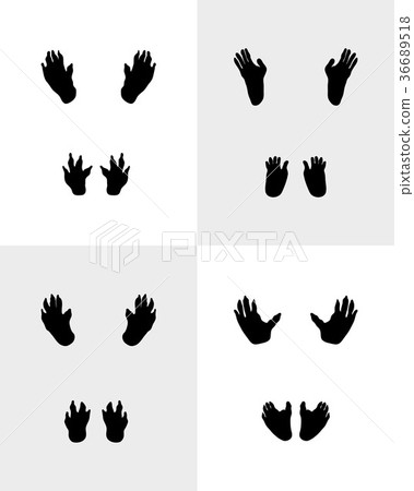 Black footprints of monkeys 36689518