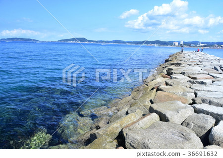 Landscape of Tateyama Bay 36691632