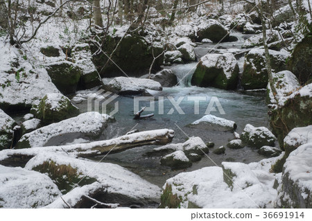 Oirase stream of winter 36691914