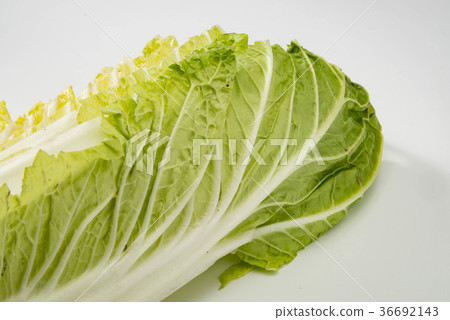 Cabbage Cabbage 36692143