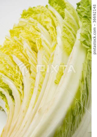 中國的白菜 36692148