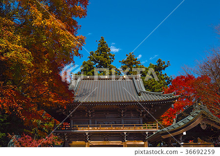 Mt. Takao秋葉 36692259