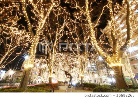 Sendai Hikari沒有選美 36692263