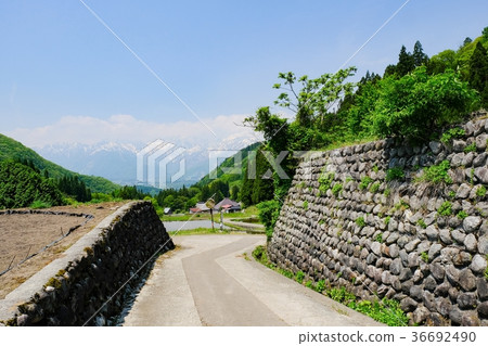 Rural landscape in spring (Blue Oni settlement) 36692490