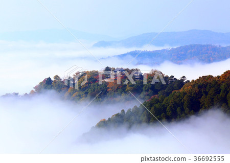 Heavenly mountain castle Binaka Matsuyama castle 7011 Heavenly mountain castle Binaka Matsuyama castle 7011 36692555