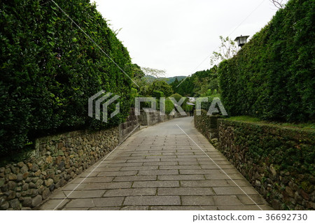 Nishigou don location (Ishigaki and cobblestone of Chiran samurai residence) 36692730