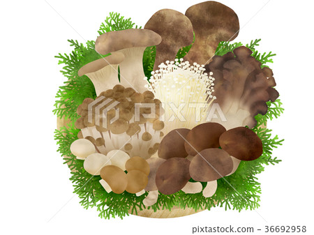 Mushroom platter (Hiba) Mushroom platter (Hiba) 36692958
