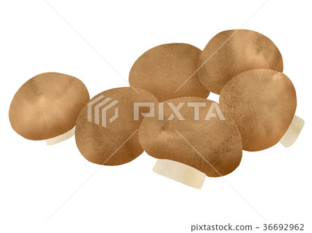 蘑菇（棕色） 36692962