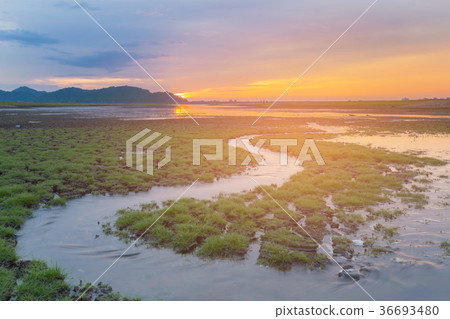 Water way over cracked ground with sunset 36693480