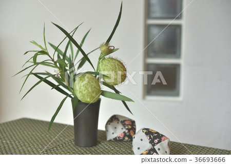 花瓶之花 36693666