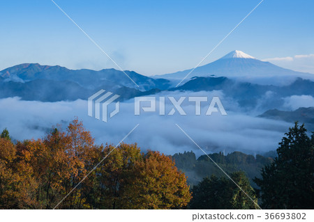 Yoshiwara在秋天 Yoshiwara在秋天 36693802