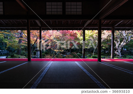 Autumn leaves of Enko-ji Autumn leaves of Enko-ji 36693810