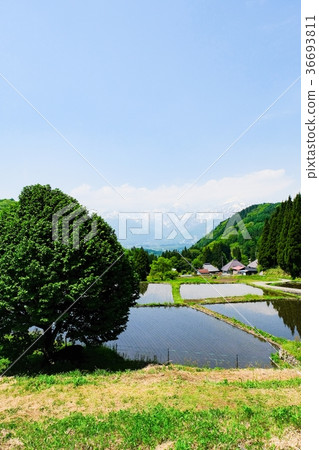 Rural landscape in spring (Blue Oni settlement) Rural landscape in spring (Blue Oni settlement) 36693811