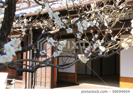 府中原生林Meirin 36694004