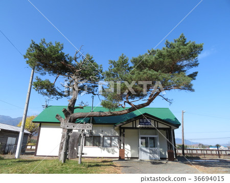 Futaba Station 36694015