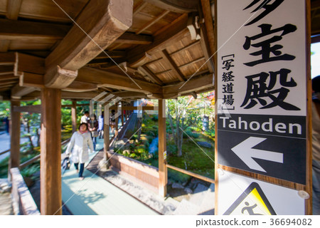 Tourists visit Tenryuji temple 36694082