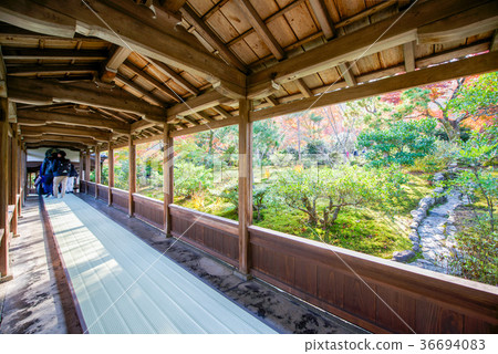 Tourists visit Tenryuji temple 36694083