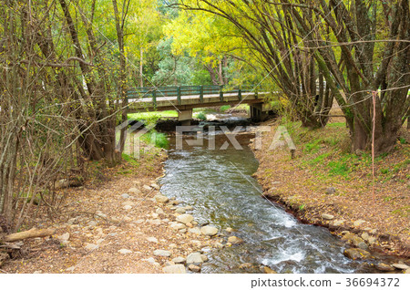 Australia, Victoria, Harrietville, Ovens River Stock Photo - Alamy