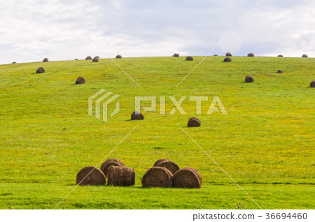 Straw bales - Holloko 36694460